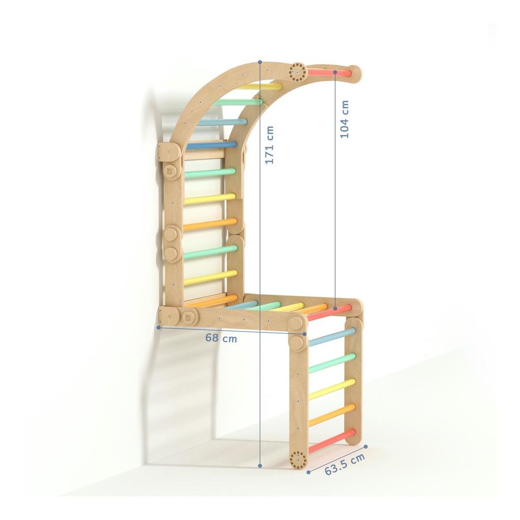 Large Inclinable Climbing Wall – Swedish Ladder