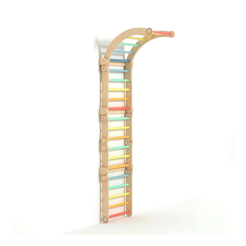 Large Inclinable Climbing Wall – Swedish Ladder