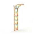 Large Inclinable Climbing Wall – Swedish Ladder