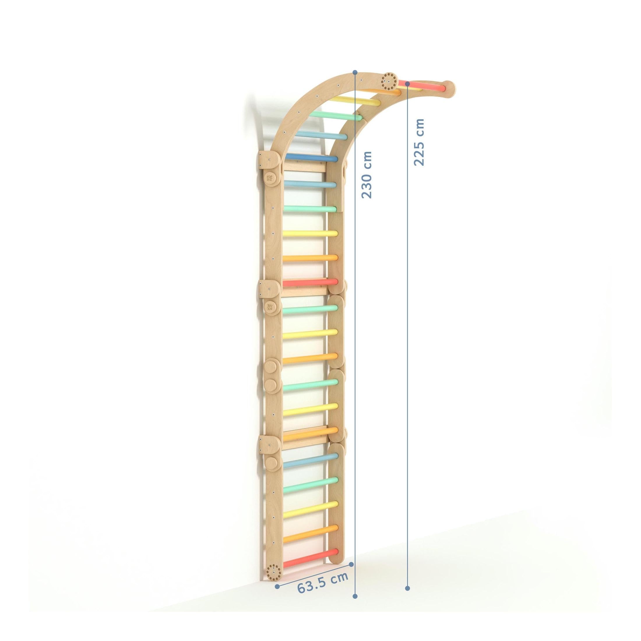 Large Inclinable Climbing Wall – Swedish Ladder