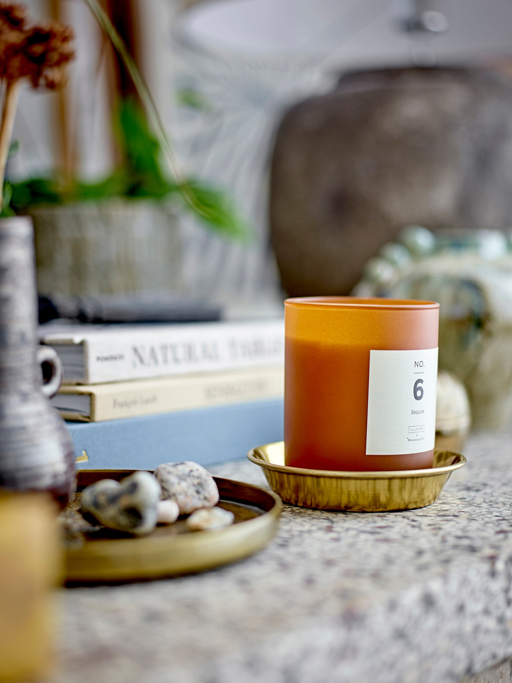 No. 6 - Sequoia - Scented Candle - Brown - Natural Wax