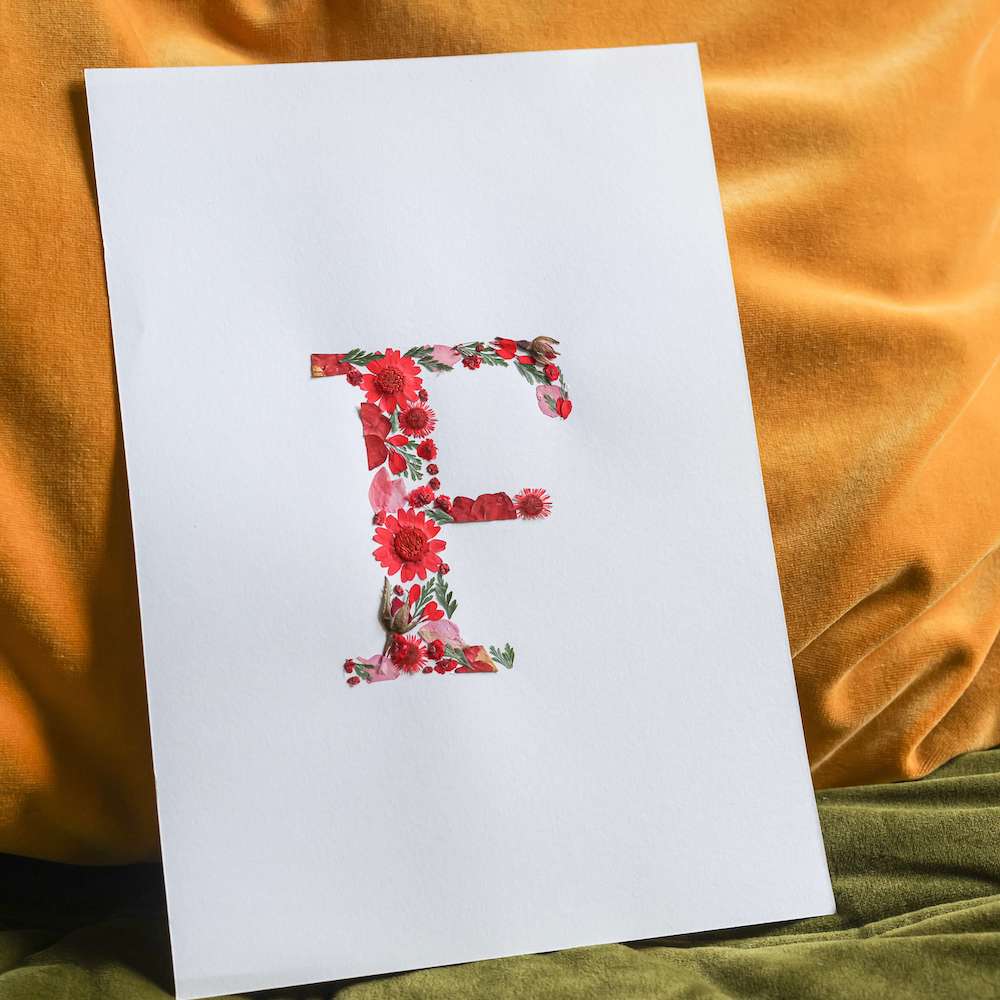 Gør-det-selv-sæt Herbarium Abc Rød
