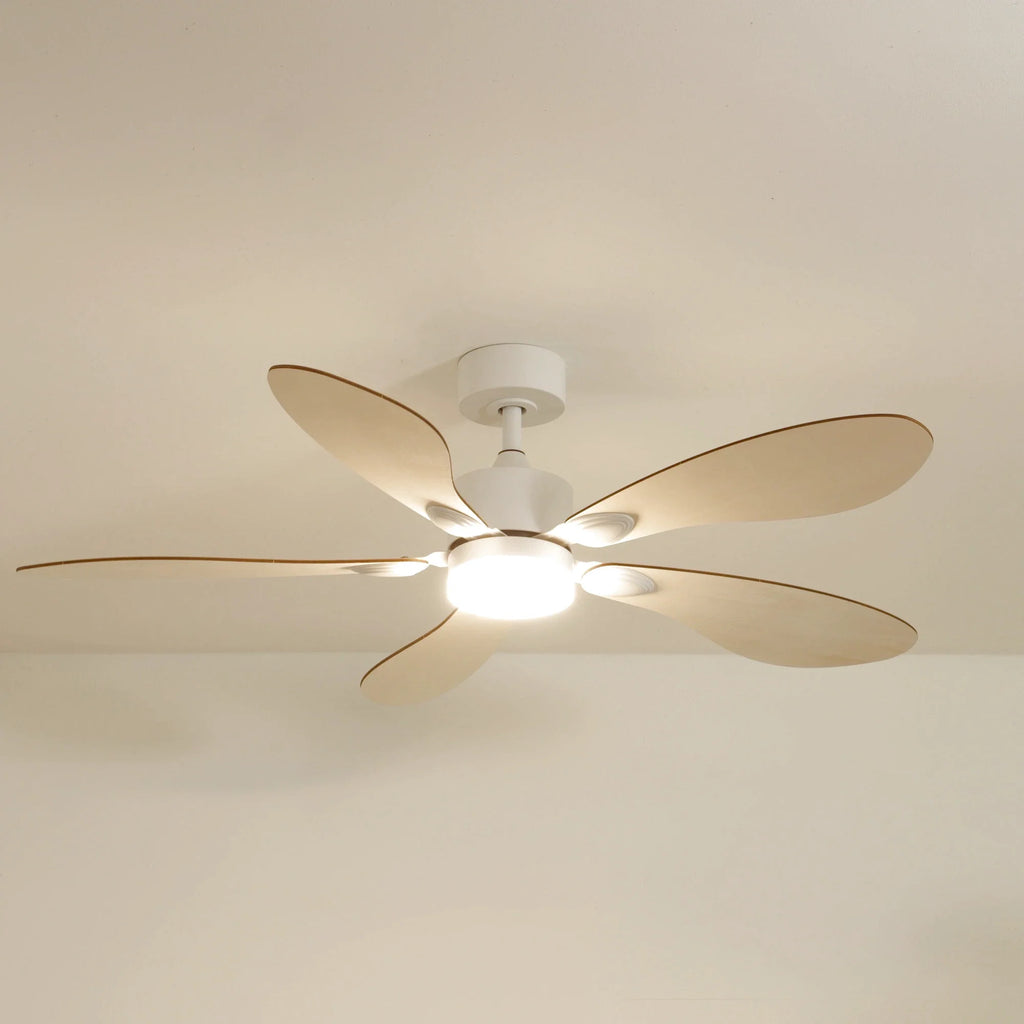 Libellule | Ventilateur De Plafond – Ø 137 Cm