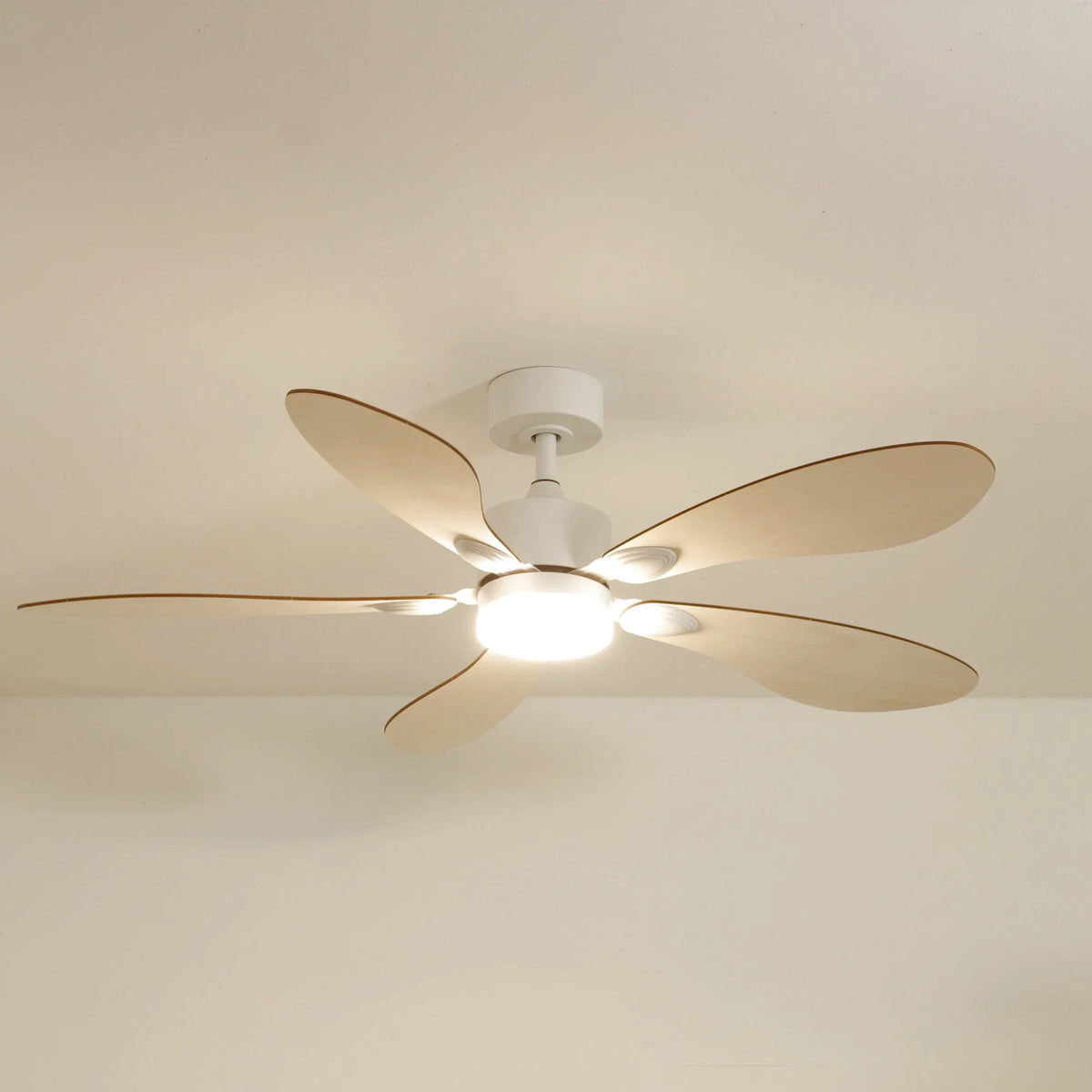 Libellule | Ventilateur De Plafond – Ø 137 Cm