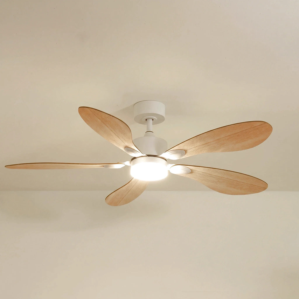 Libellule Oak Finish | Ceiling Fan – Ø 137 Cm