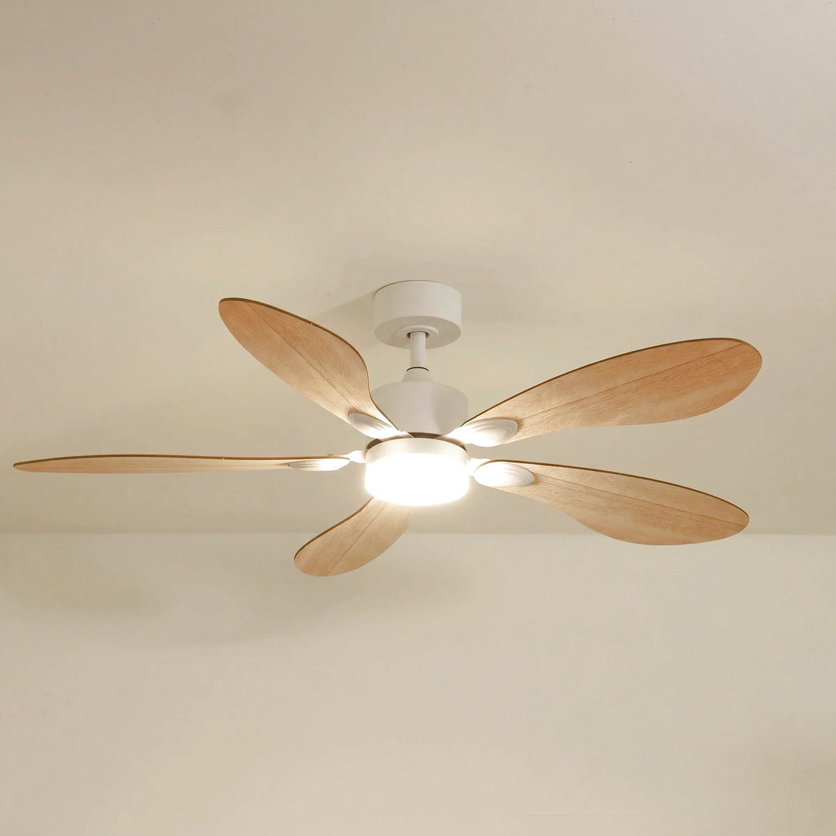 Libellule Oak Finish | Ceiling Fan – Ø 137 Cm