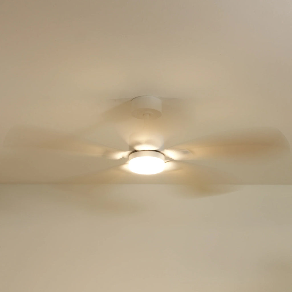 Libellule Oak Finish | Ceiling Fan – Ø 137 Cm