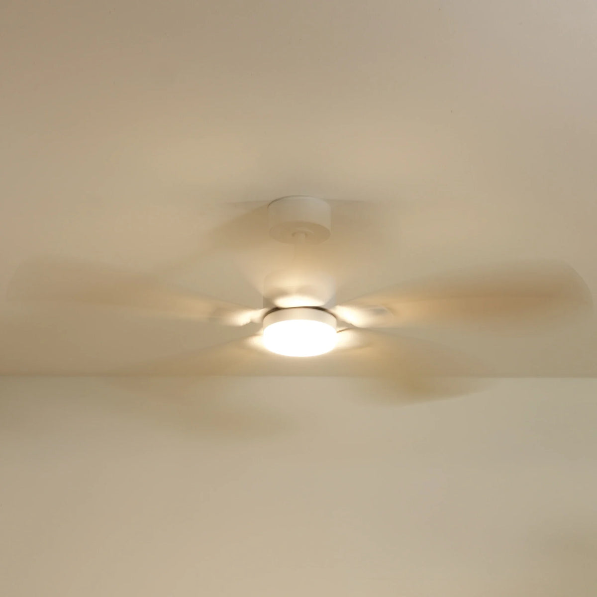 Libellule Oak Finish | Ceiling Fan – Ø 137 Cm