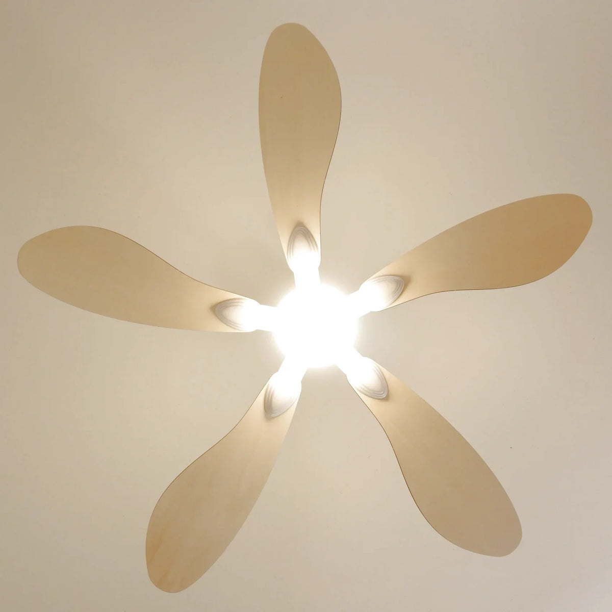 Libellule | Ventilateur De Plafond – Ø 137 Cm