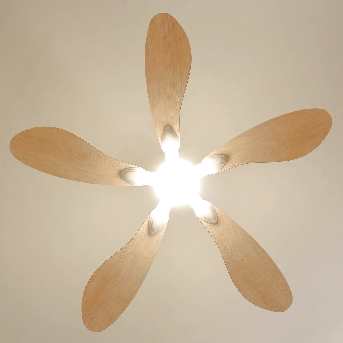 Libellule Oak Finish | Ceiling Fan – Ø 137 Cm