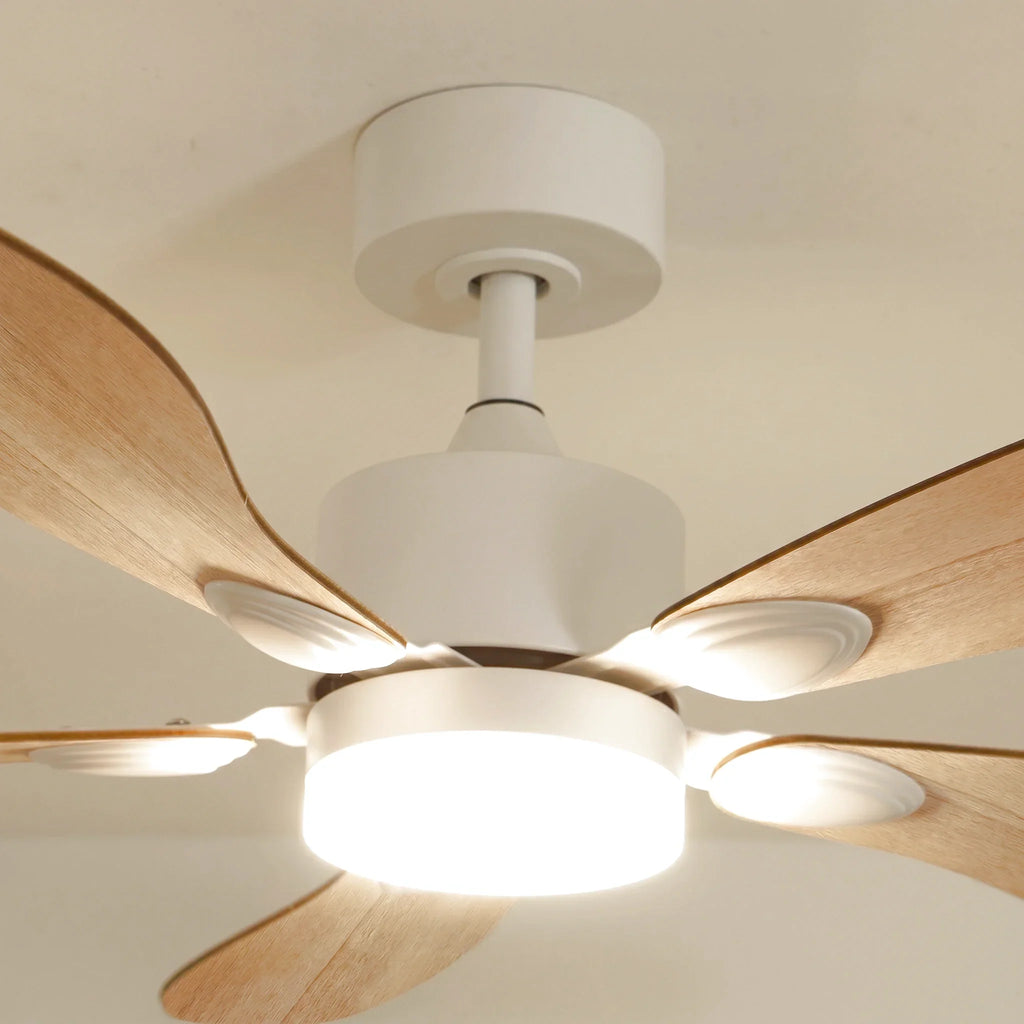 Libellule Oak Finish | Ceiling Fan – Ø 137 Cm