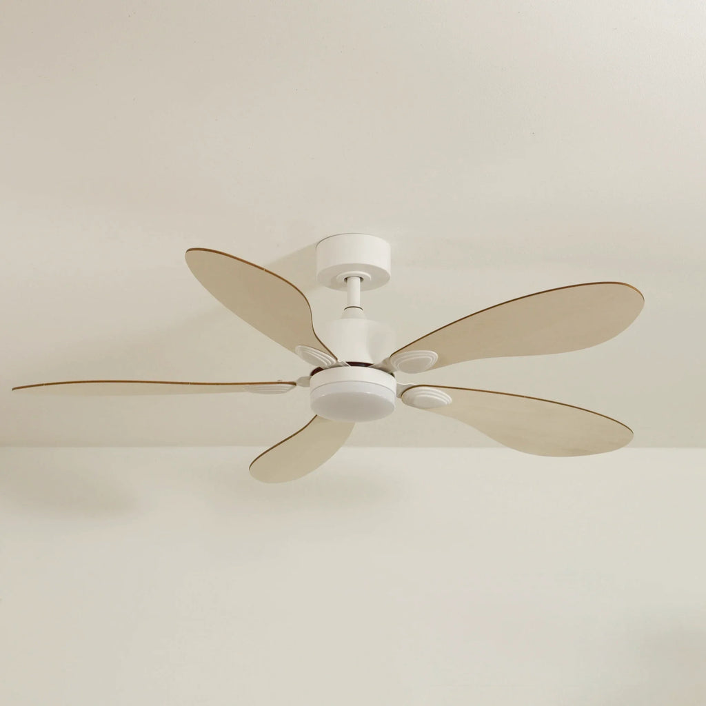Libellule | Ventilateur De Plafond – Ø 137 Cm