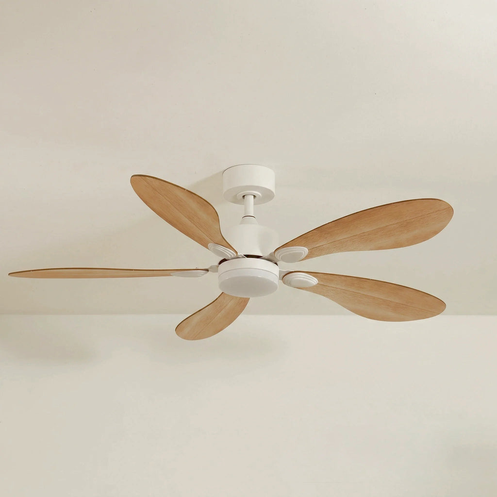 Libellule Oak Finish | Ceiling Fan – Ø 137 Cm