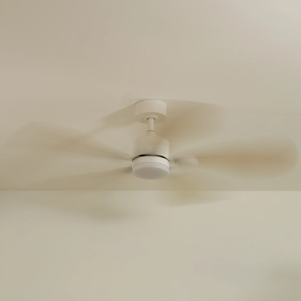 Libellule Oak Finish | Ceiling Fan – Ø 137 Cm