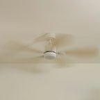 Libellule Oak Finish | Ceiling Fan – Ø 137 Cm