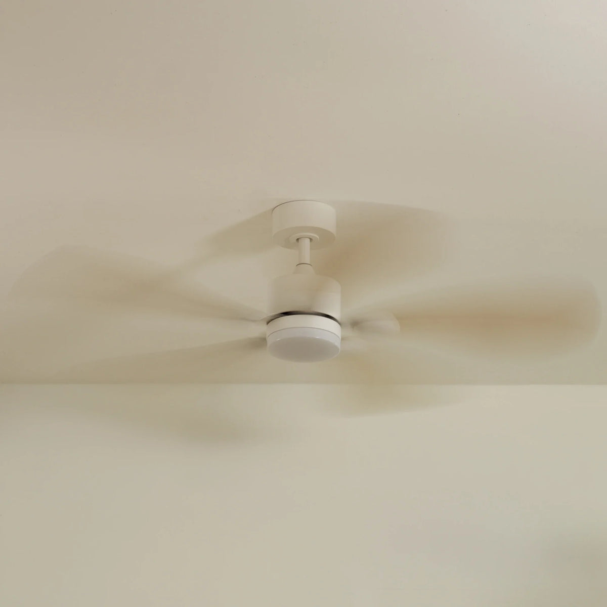 Libellule Oak Finish | Ceiling Fan – Ø 137 Cm
