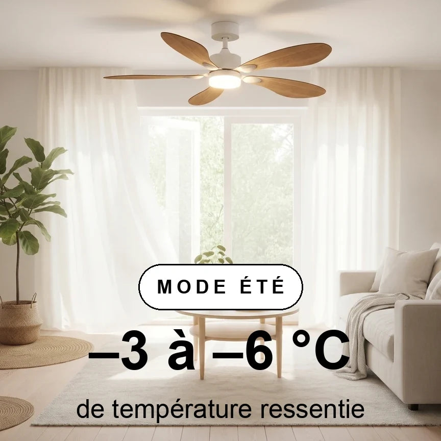 Libellule Oak Finish | Ceiling Fan – Ø 137 Cm