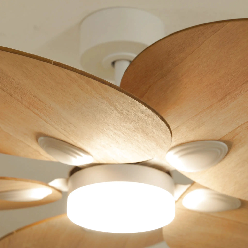 Lotus Teinté Chêne | Ventilateur De Plafond – Ø 105 Cm