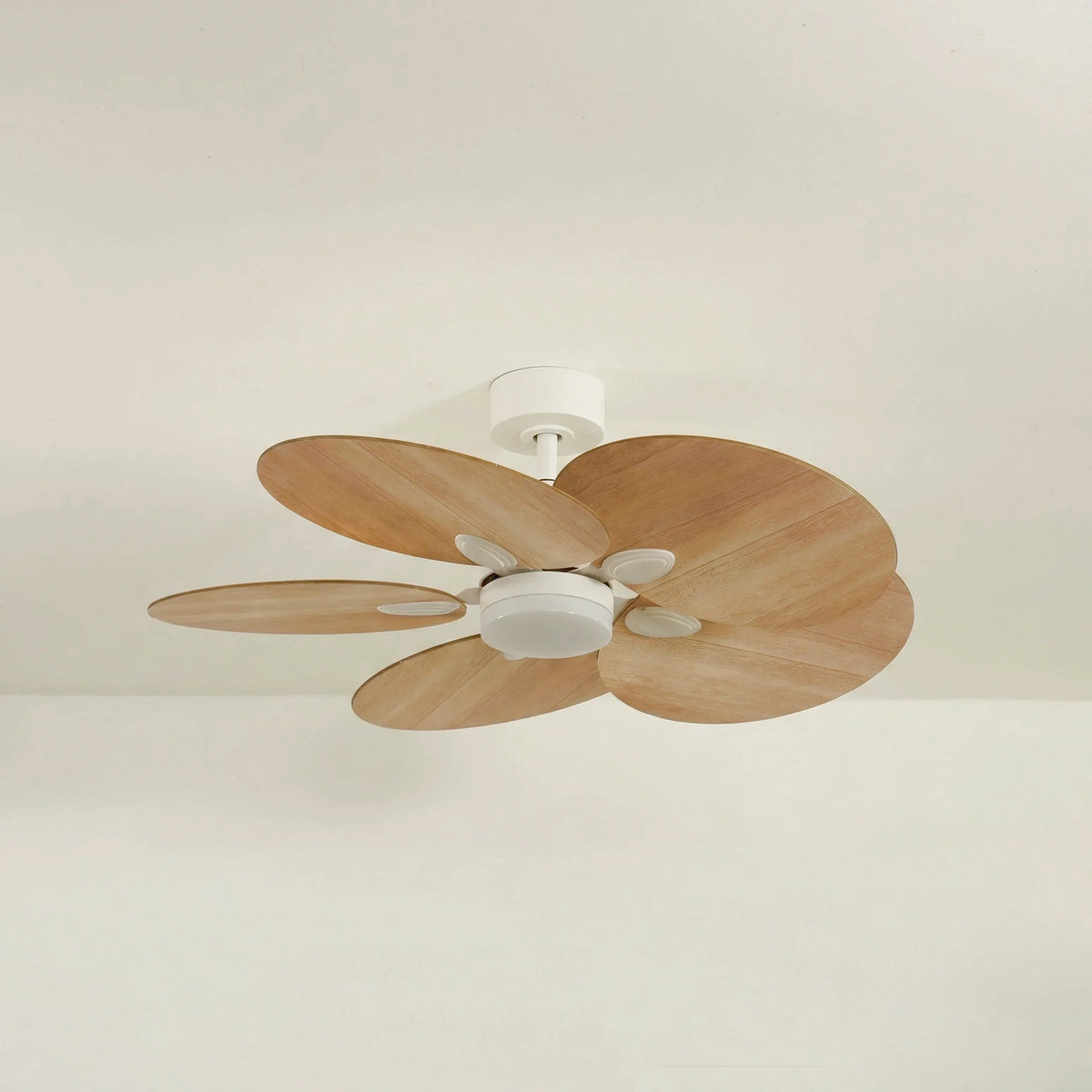 Lotus Teinté Chêne | Ventilateur De Plafond – Ø 105 Cm