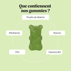 Matcha - Métabolisme & Énergie