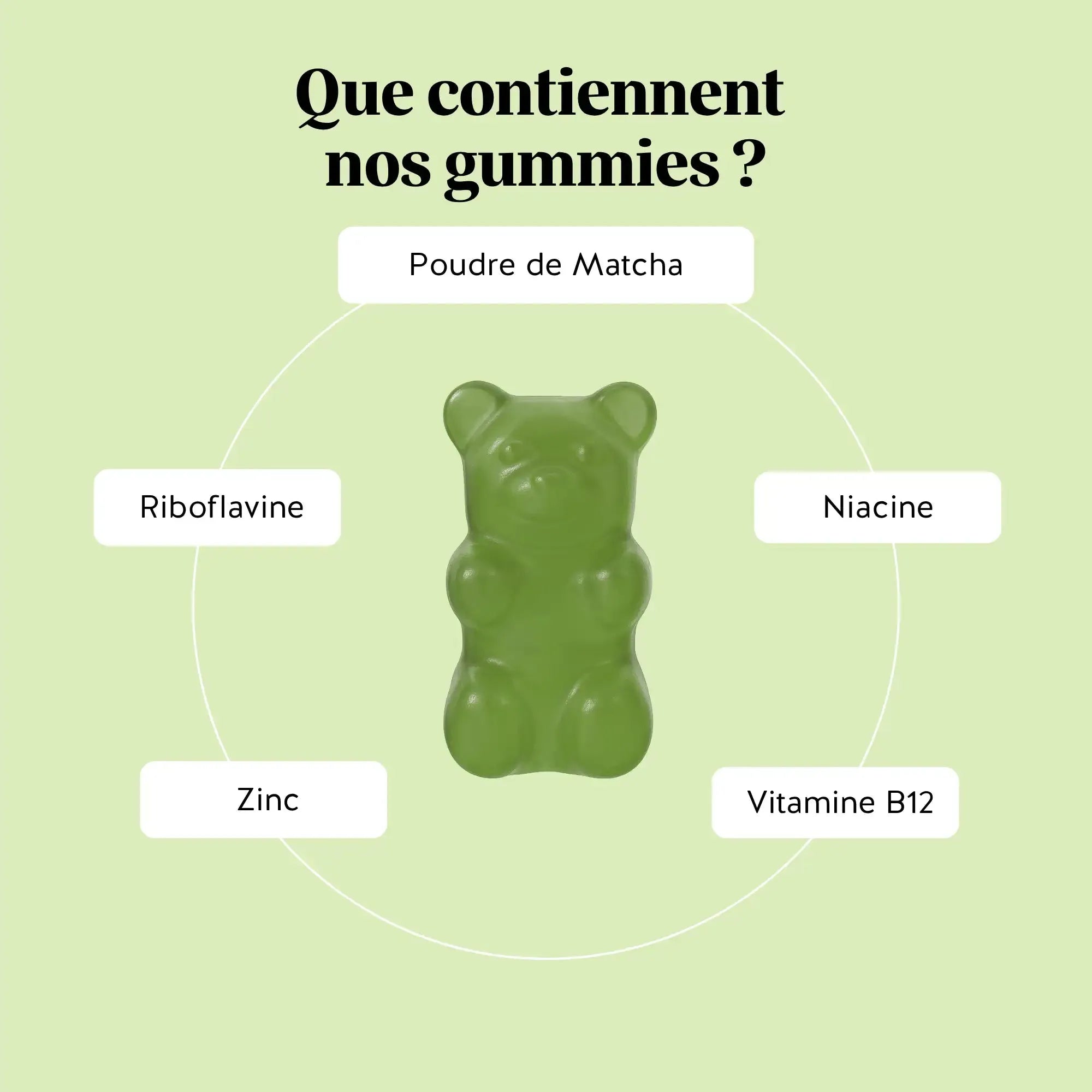 Matcha - Métabolisme & Énergie