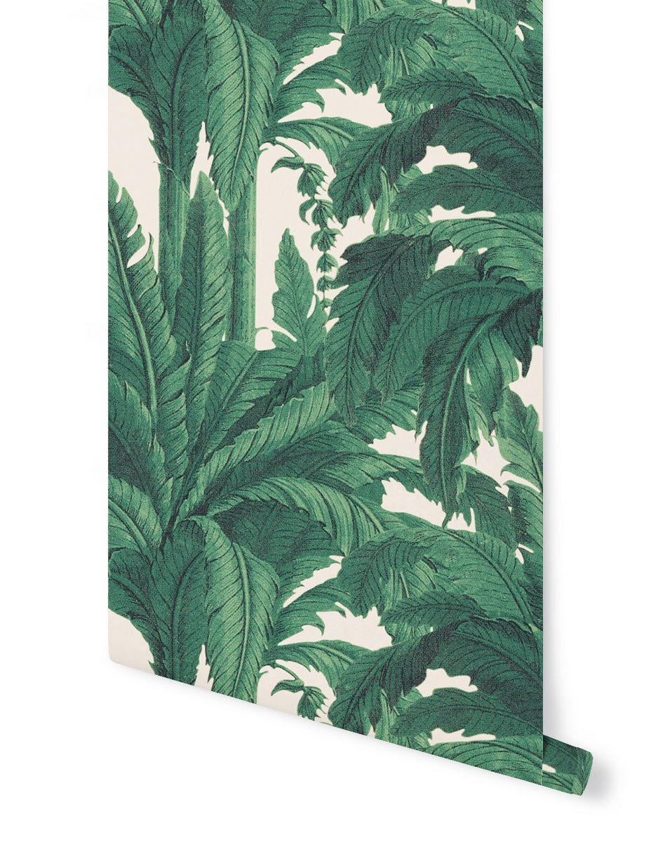 Rollo de Papel Pintado Musa - Rose