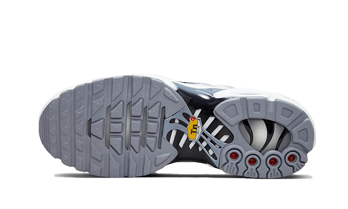 Nike - Air Max Plus Sail Grey - Blanc