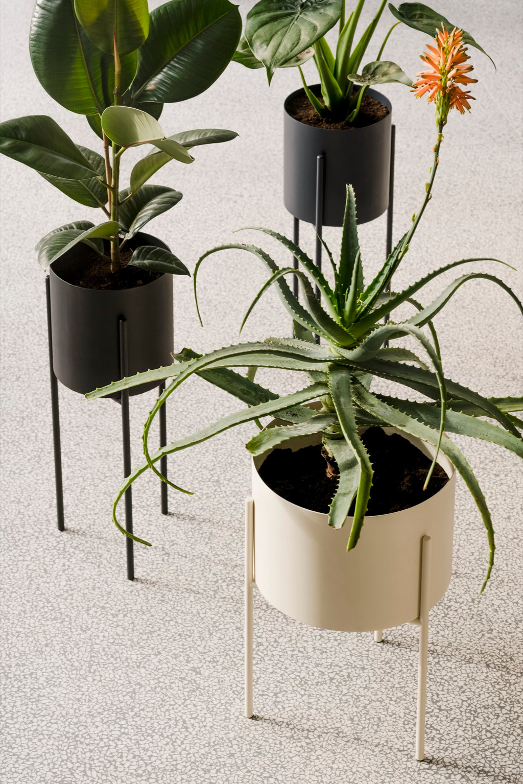 Maki Flower Pot – Large - Vulcano Black