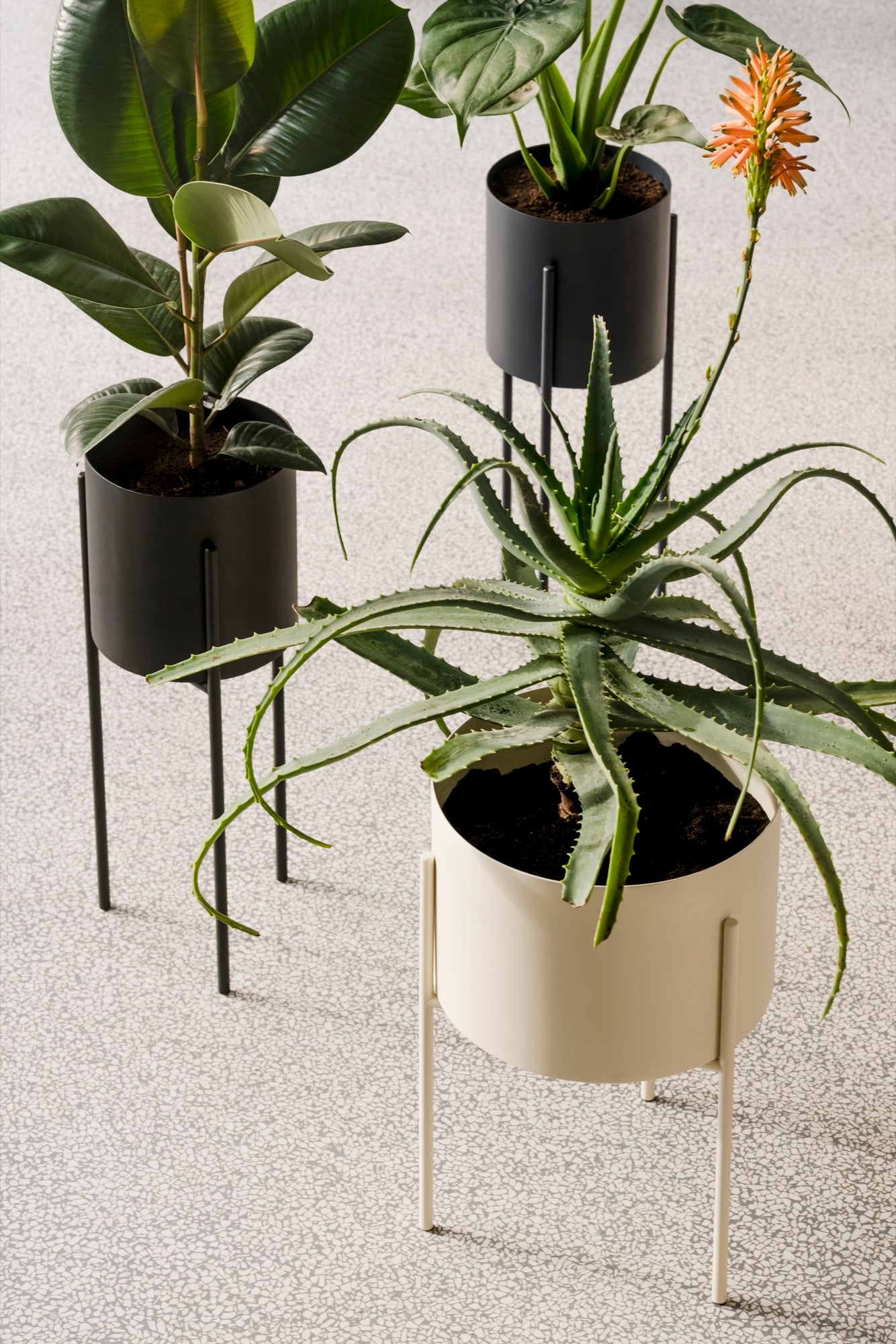 Maki Flower Pot – Large - Vulcano Black