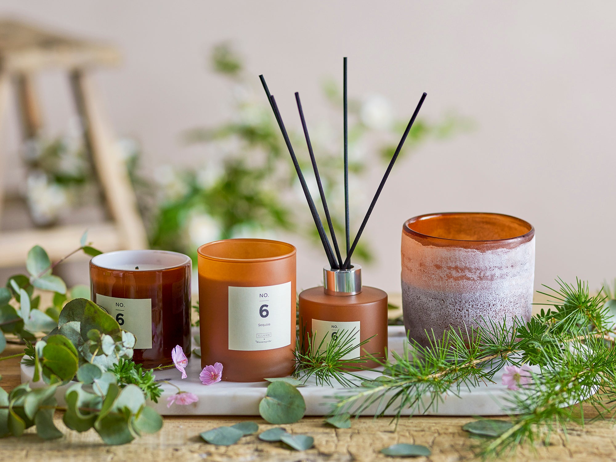 No. 6 - Sequoia - Scent Diffuser - Brown - Fragrance Blend