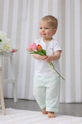 Paul Striped Pants - Baby Boy - Ecru & Mint