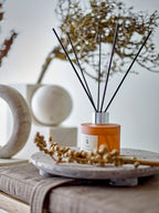 No. 6 - Sequoia - Scent Diffuser - Brown - Fragrance Blend