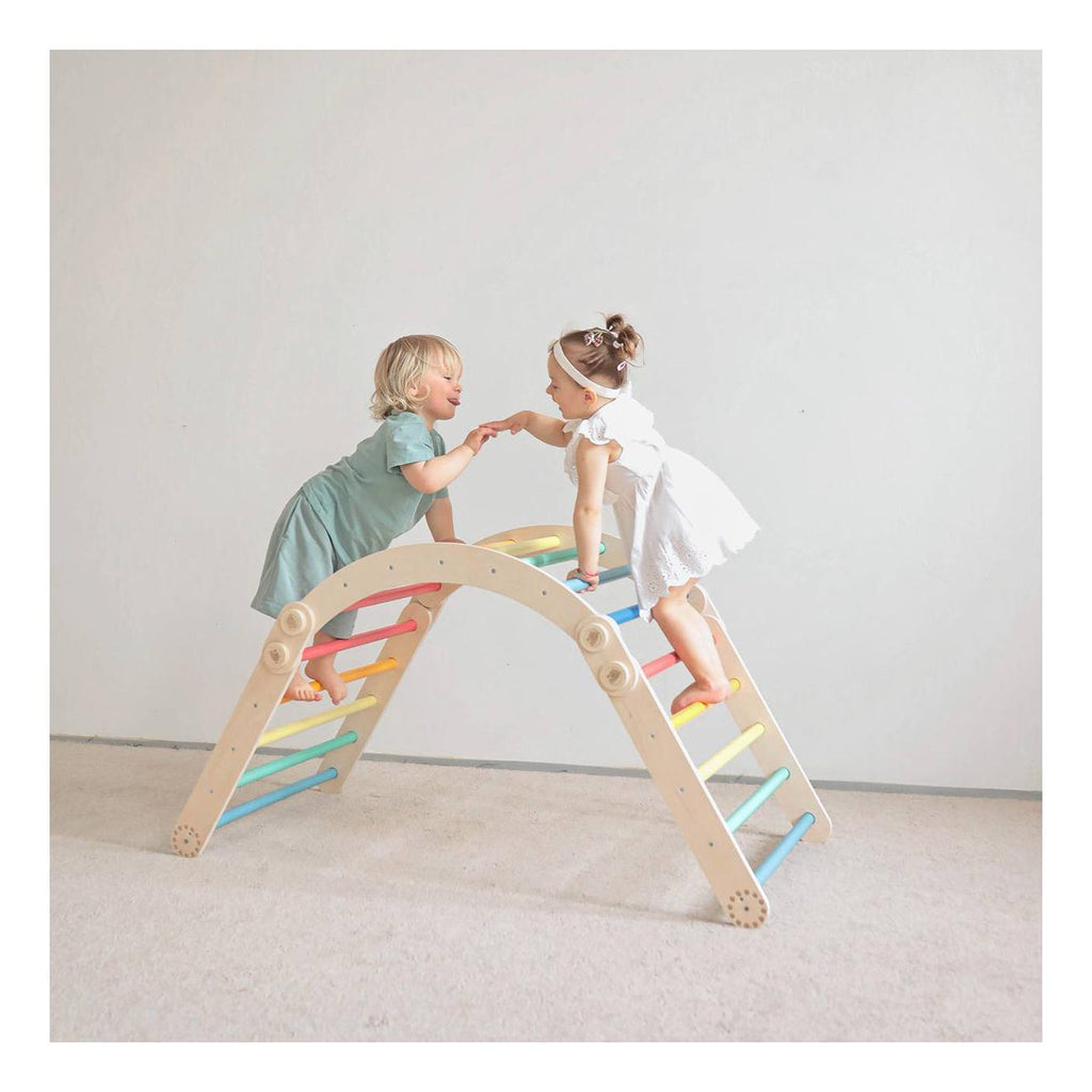 Large Inclinable Climbing Wall – Swedish Ladder