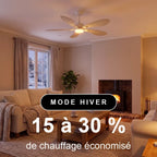 Libellule | Ventilateur De Plafond – Ø 137 Cm
