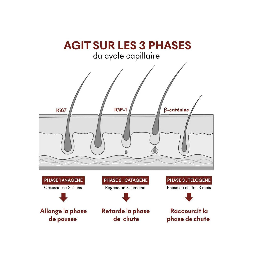 Sérum Anti-Chute Tricho-Boost