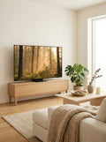 Samsung - OLED 77" S95F – Televisor QD-OLED 4K 165Hz Premium