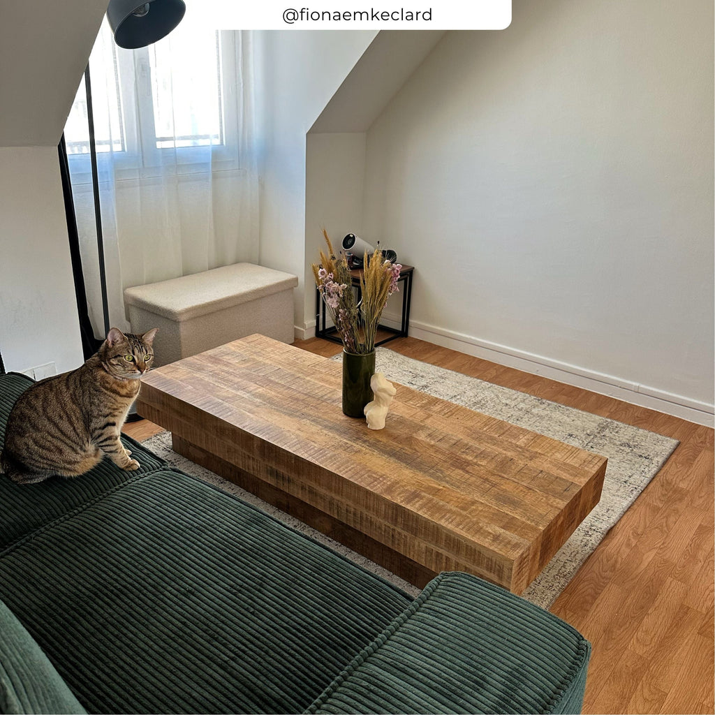 Areto - Mesa de centro de madera de mango
