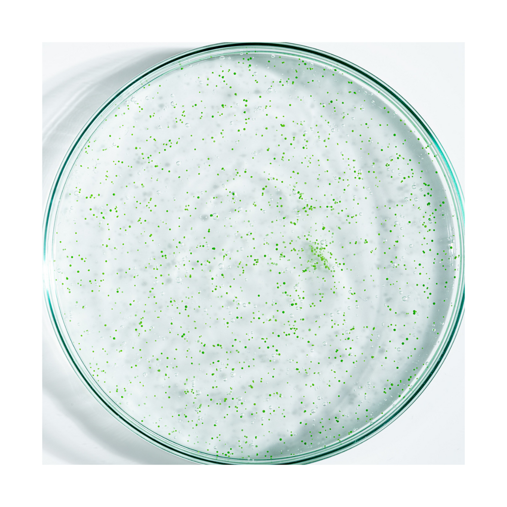 Gommage Actif Anti-Pelliculaire