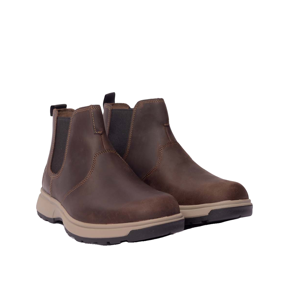 Timberland Atwells Ave - Stivaletti Uomo Marrone