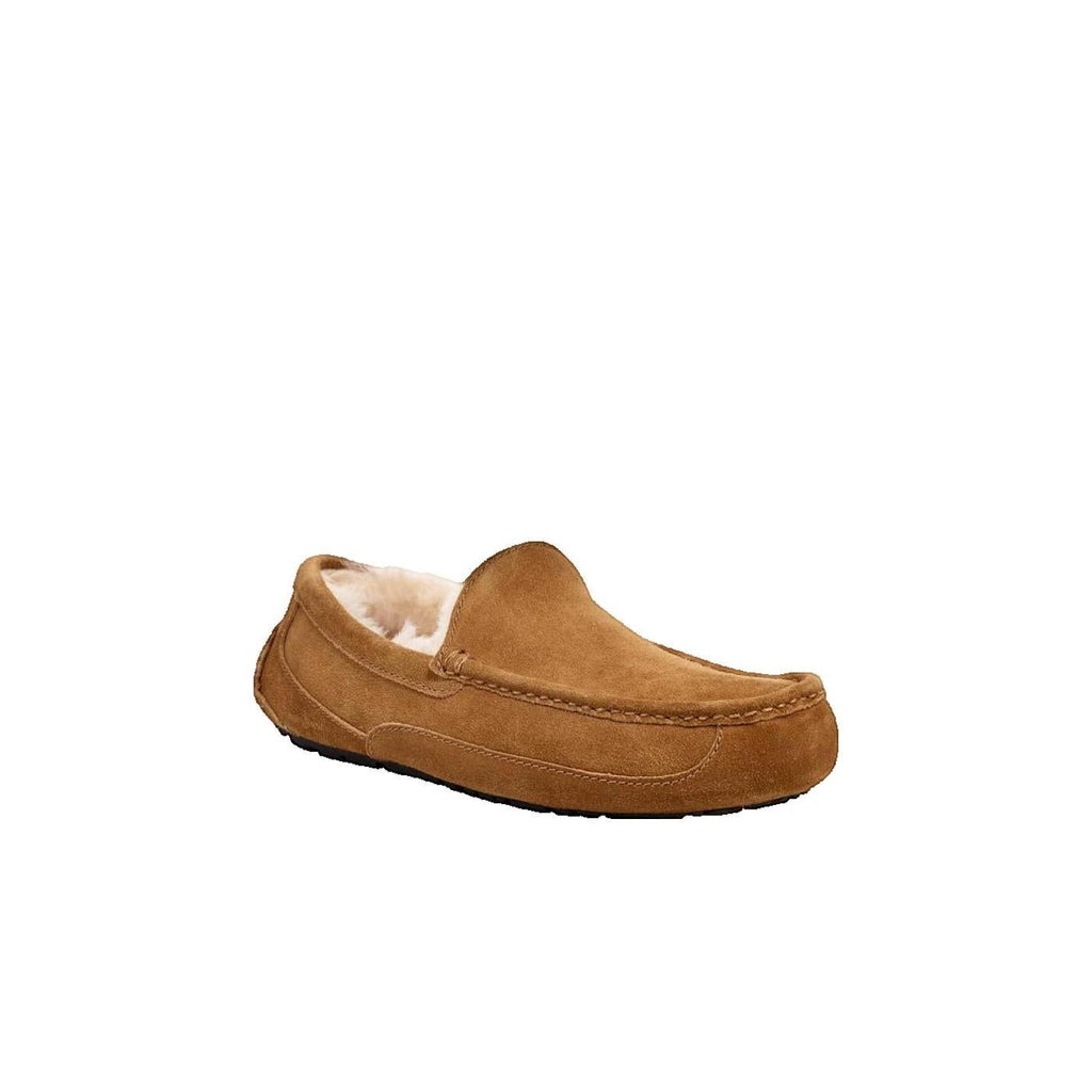 Chaussons Ascot - Marron