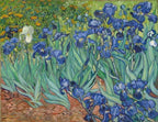 Pintura por números - Van Gogh Iris