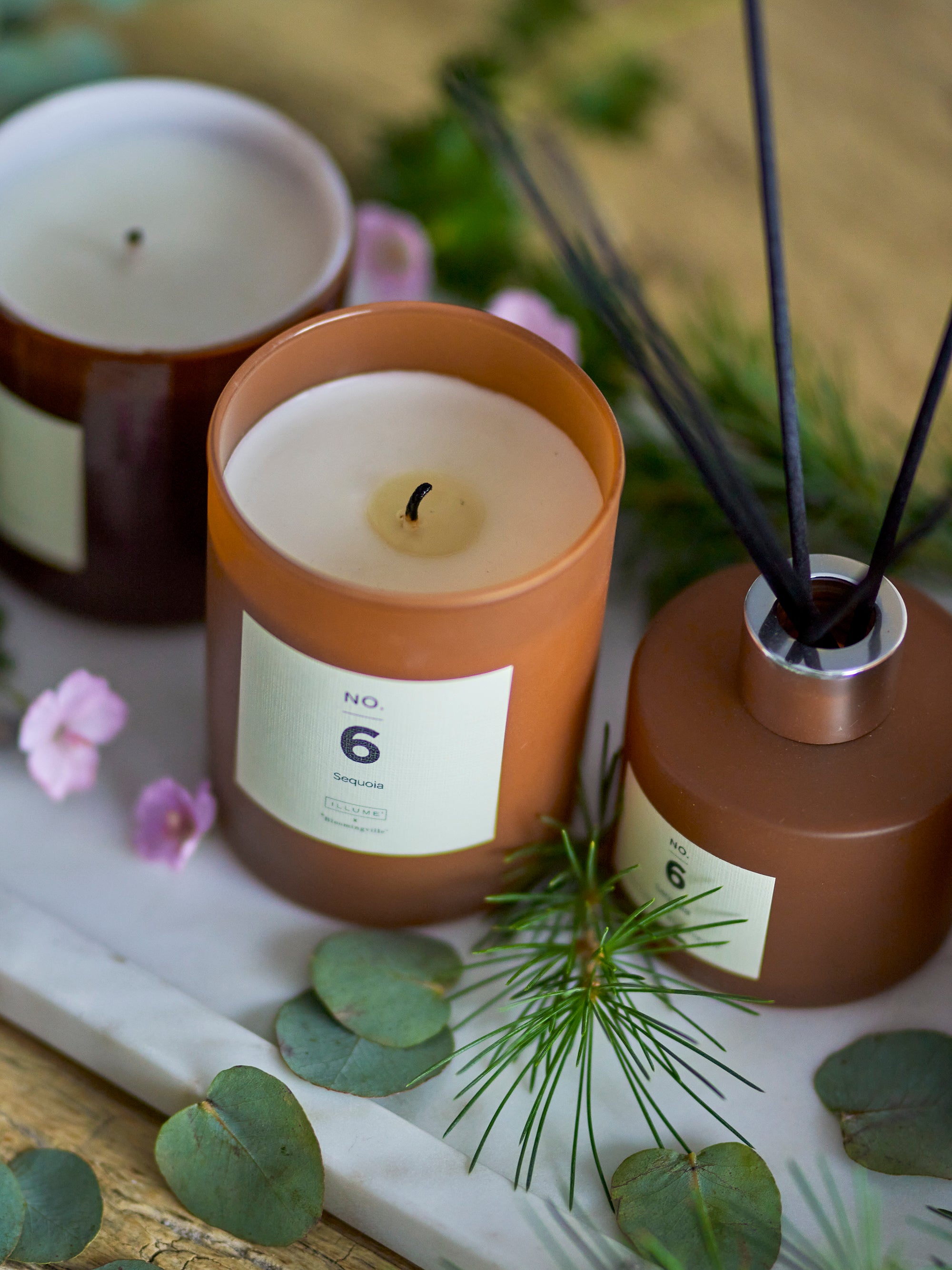 No. 6 - Sequoia - Scent Diffuser - Brown - Fragrance Blend