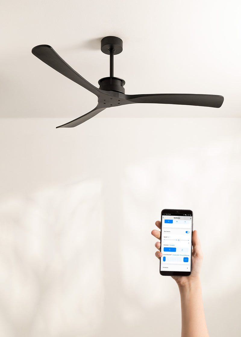 Wind Large Dc - Ventilateur De Plafond 40W Silent Xl Wifi - Noir