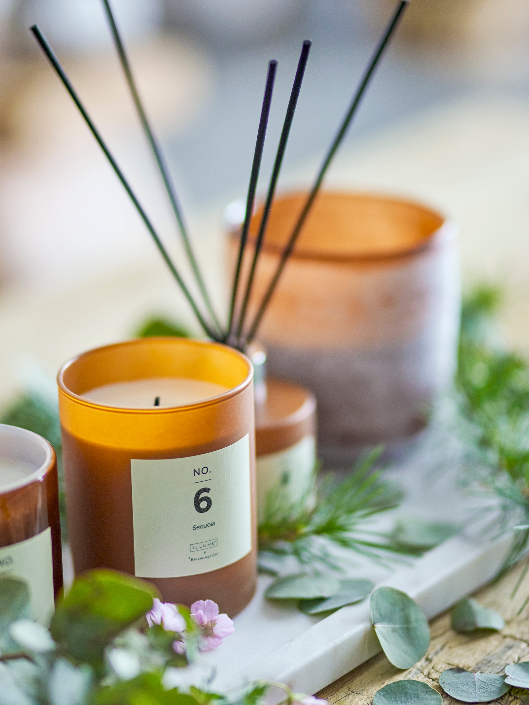 No. 6 - Sequoia - Scented Candle - Brown - Natural Wax