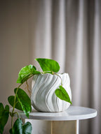 Isidora - Plant Pot - White - Stoneware