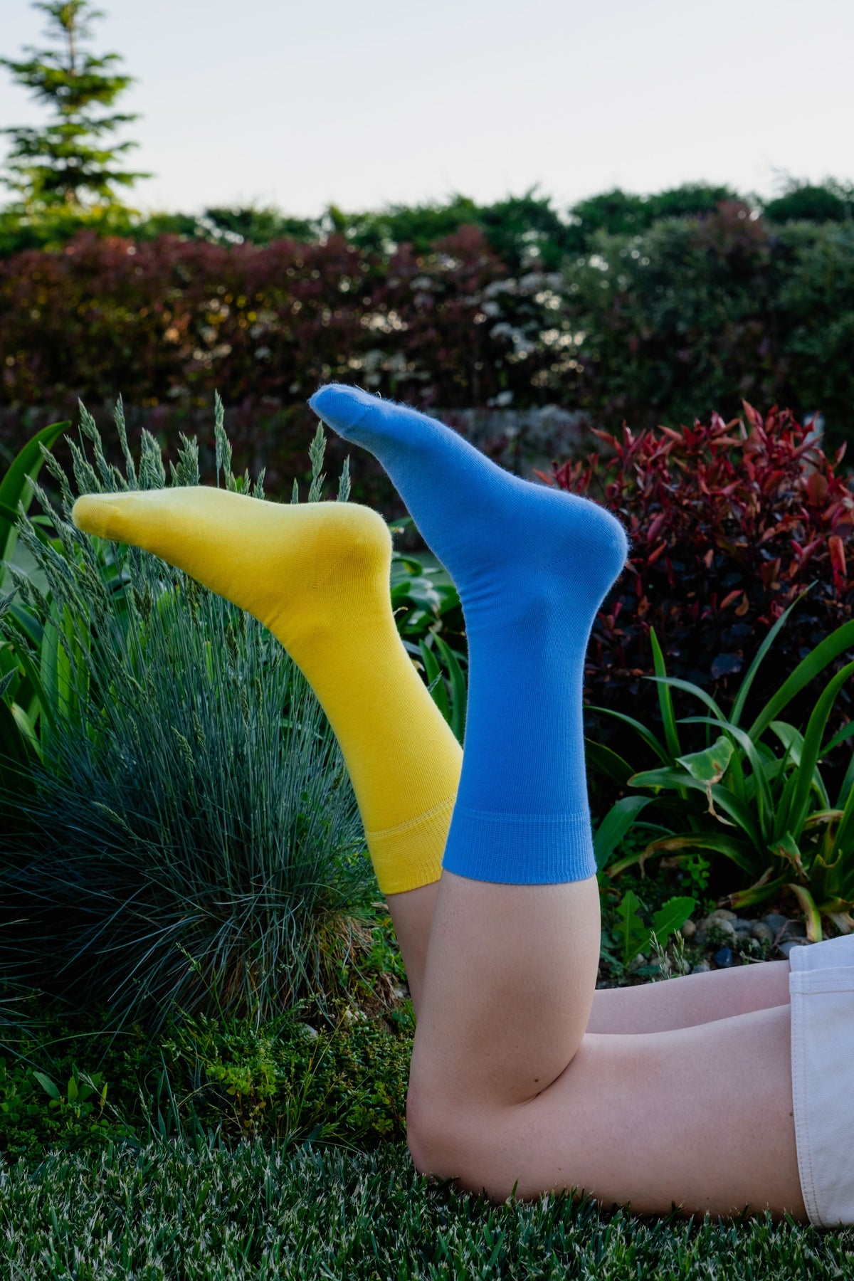 KLUE organic cotton colorful Solid Socks Pack x6 | PASTEL - klueconcept