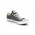 Ct All Star Canvas Ox Sneakers - Gray - Mixed - Converse - The Bradery