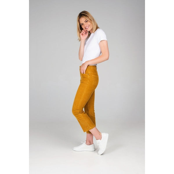 Pantalon Capri Bootcut Gold - Coupe Bootcut - Notify - The Bradery
